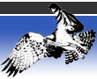 RCC Mascot the Osprey