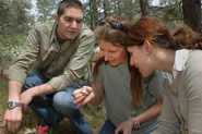 Horticulture