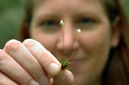Horticulture