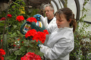 Horticulture