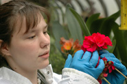 Horticulture