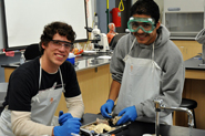 Anatomy & Physiology