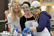 Anatomy & Physiology