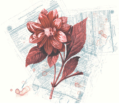 an illustration of a rose on paperwork signifying the american dream