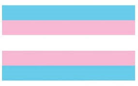 pink and blue striped flag