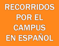 Tours in espanol