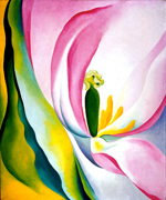 Pink Tulip