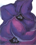 Purple Petunias