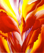 Red Canna