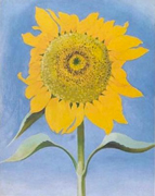 Sunflower, New Mexico