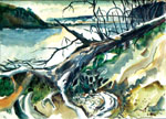 Littoral