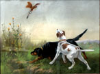 Hunt Scene
