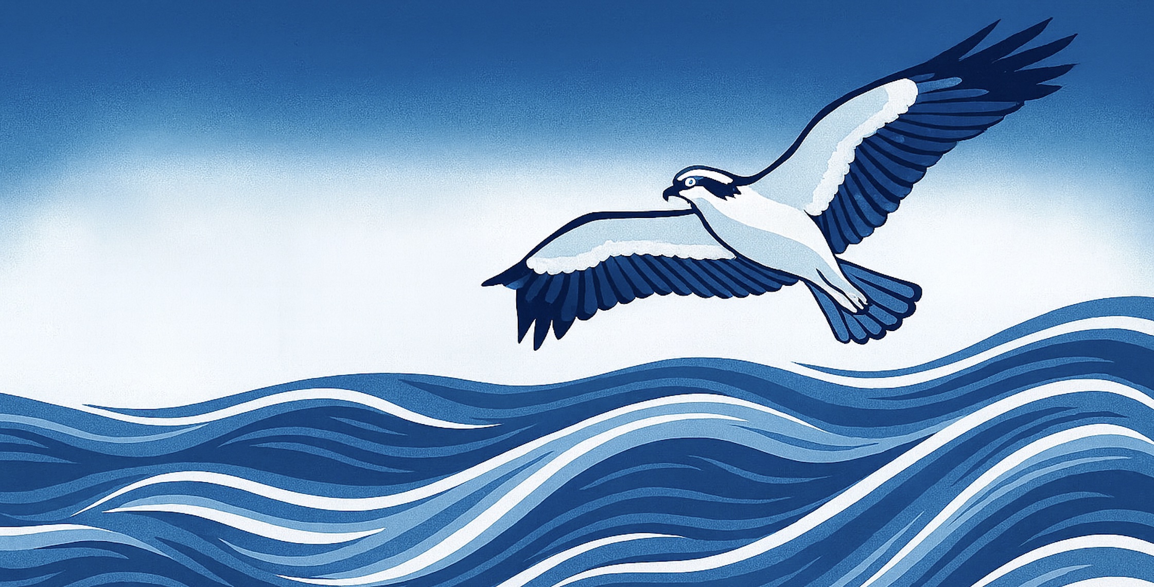 osprey flying over waves appearing to be a current of water
