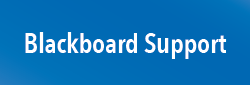 Blackboard support