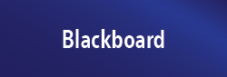 Blackboard (rogue online)
