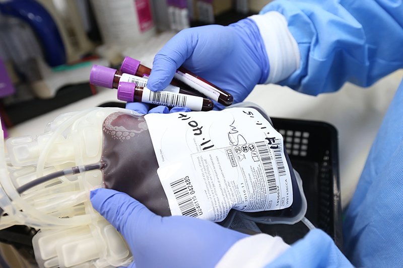 blood bank