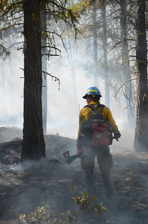 wildland firefighter