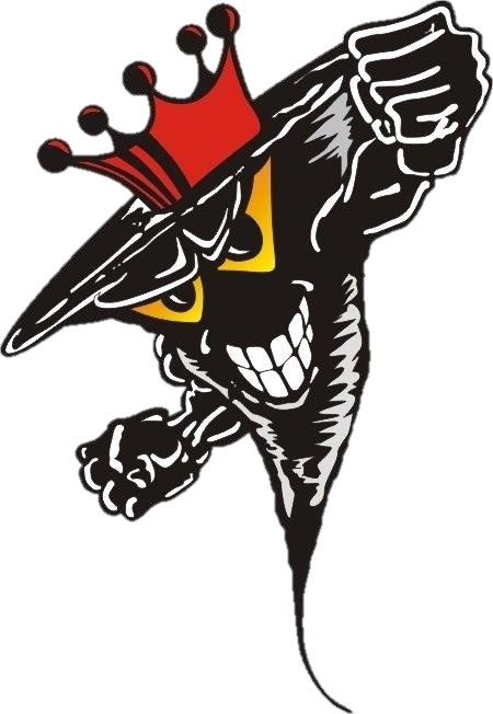 north medford high school logo