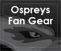 Fan Gear