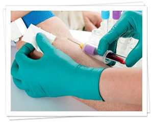 students drawing blood