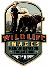 wildlife images rehabilitiation education logo