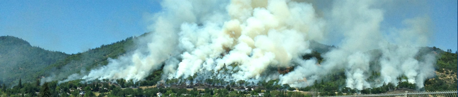 Wildland firefighters in the Health Professions and Public Safety Pathway