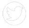 twitter icon