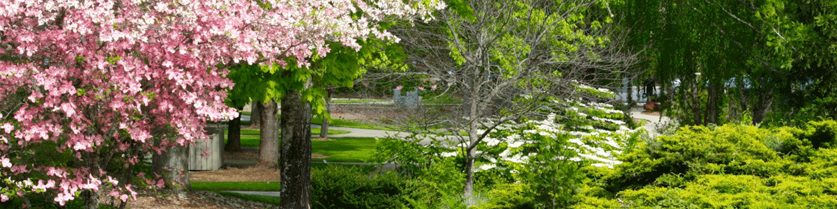 Spring at RCC's Redwood Campus in Grants Pass