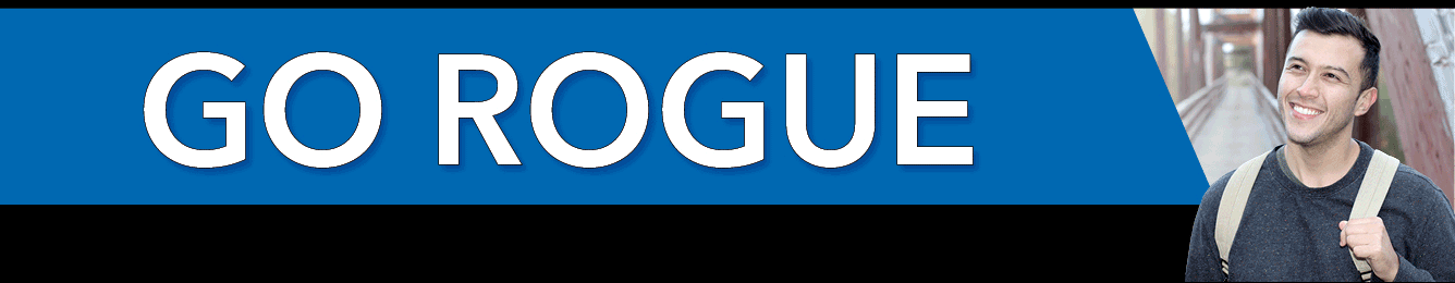 Go Rogue Get started for Summer/Fall 2024