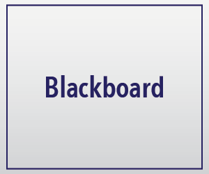 Blackboard rogue online
