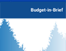 2025-26 Budget in Brief