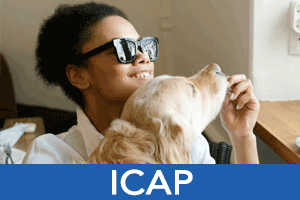 Inclusive Career Advancement Program