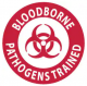 bloodborne pathogens
