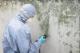 mold mitigation