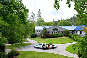 Redwood campus fountain