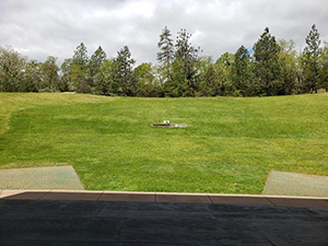 Bowl Center view from stage