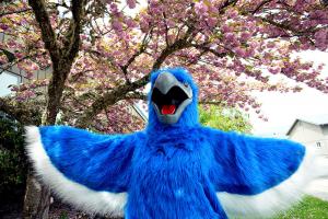 ossie in the spring at redwood campus of RCC